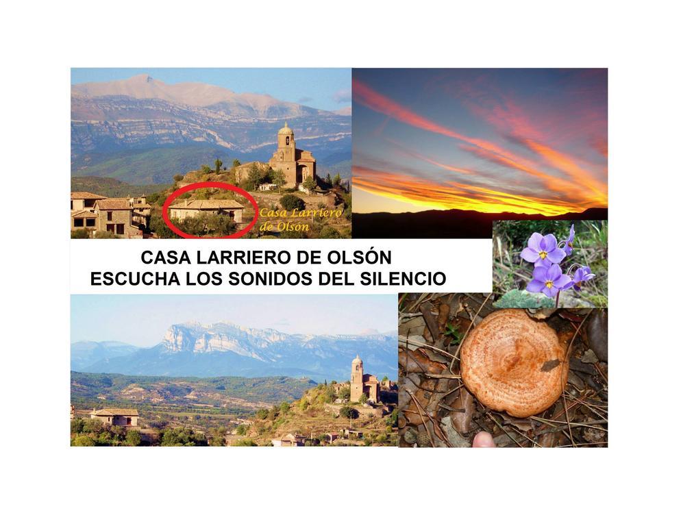 Casa Larriero De Olson Pension Buitenkant foto